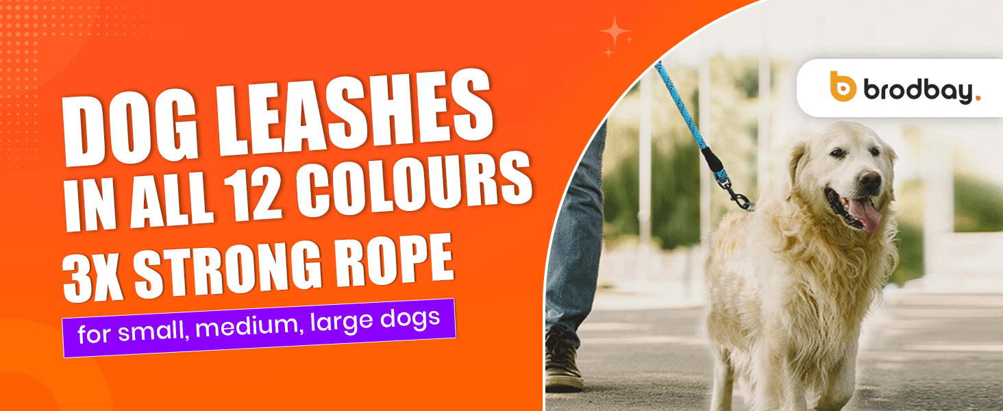 new-banner-dark-orange-clr