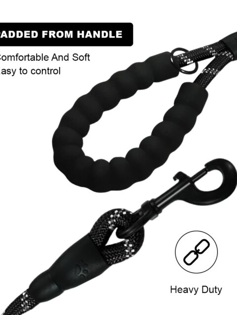 Black dog leash