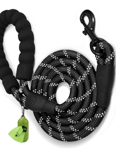 Black dog leash in colours