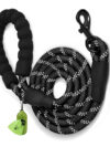 Black_dog_leash_main